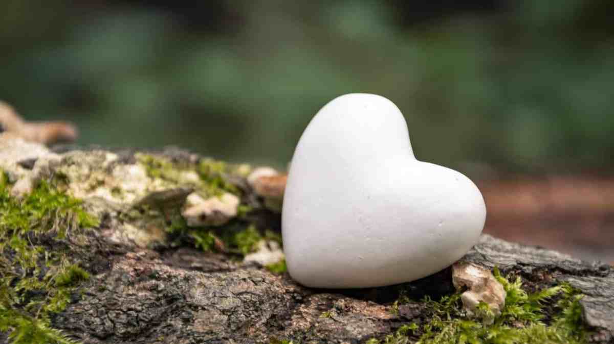 June 30, 2023 – Ears to Hear, Hearts to&nbsp;Obey